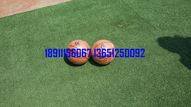 籃球，小籃球，少年籃球
