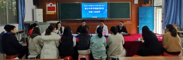 專家解惑，校本研修