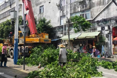西區(qū)街道：開展全路域環(huán)境整治，助力文明城市創(chuàng)建