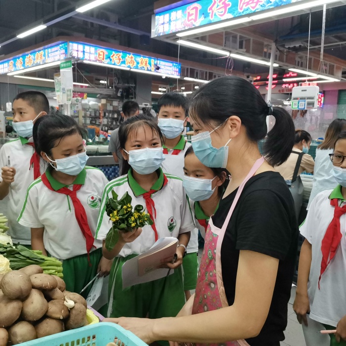 走進(jìn)市場 認(rèn)識蔬菜 走進(jìn)市場 認(rèn)識蔬菜