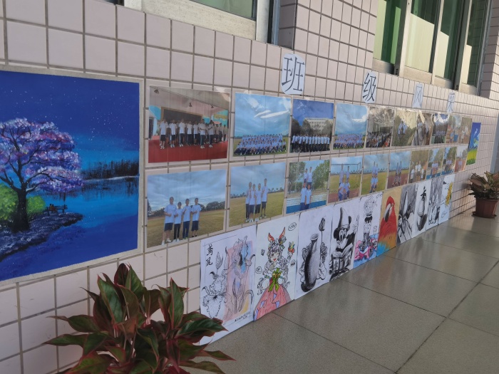 放飛青春夢想，展示特色風采