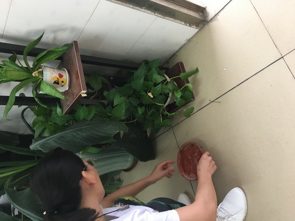 QQ圖片20190906113948.jpg