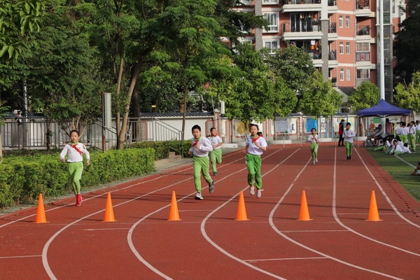 mmexport1605253580741.jpg