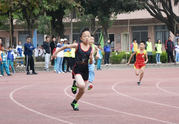 444.jpg