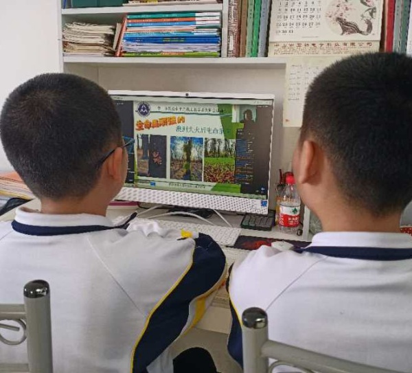 qq_pic_merged_1585026802202.jpg