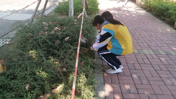 微信圖片_20191220155722.jpg
