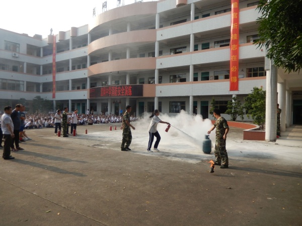 5.JPG