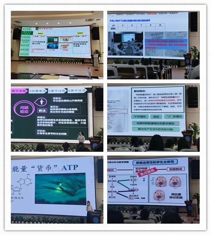 1648633355069091994.jpg 調(diào)整大小 image005.jpg