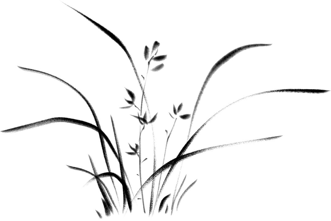 1663805160413029874.jpg