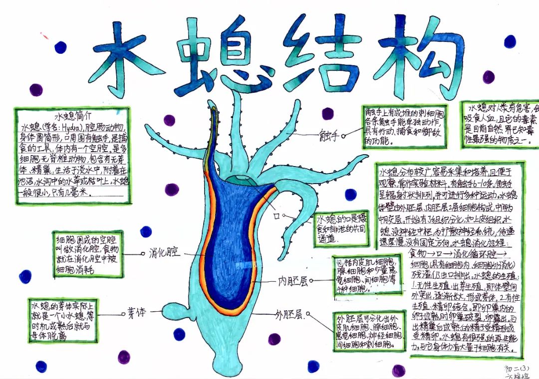 方梓婷.jpg