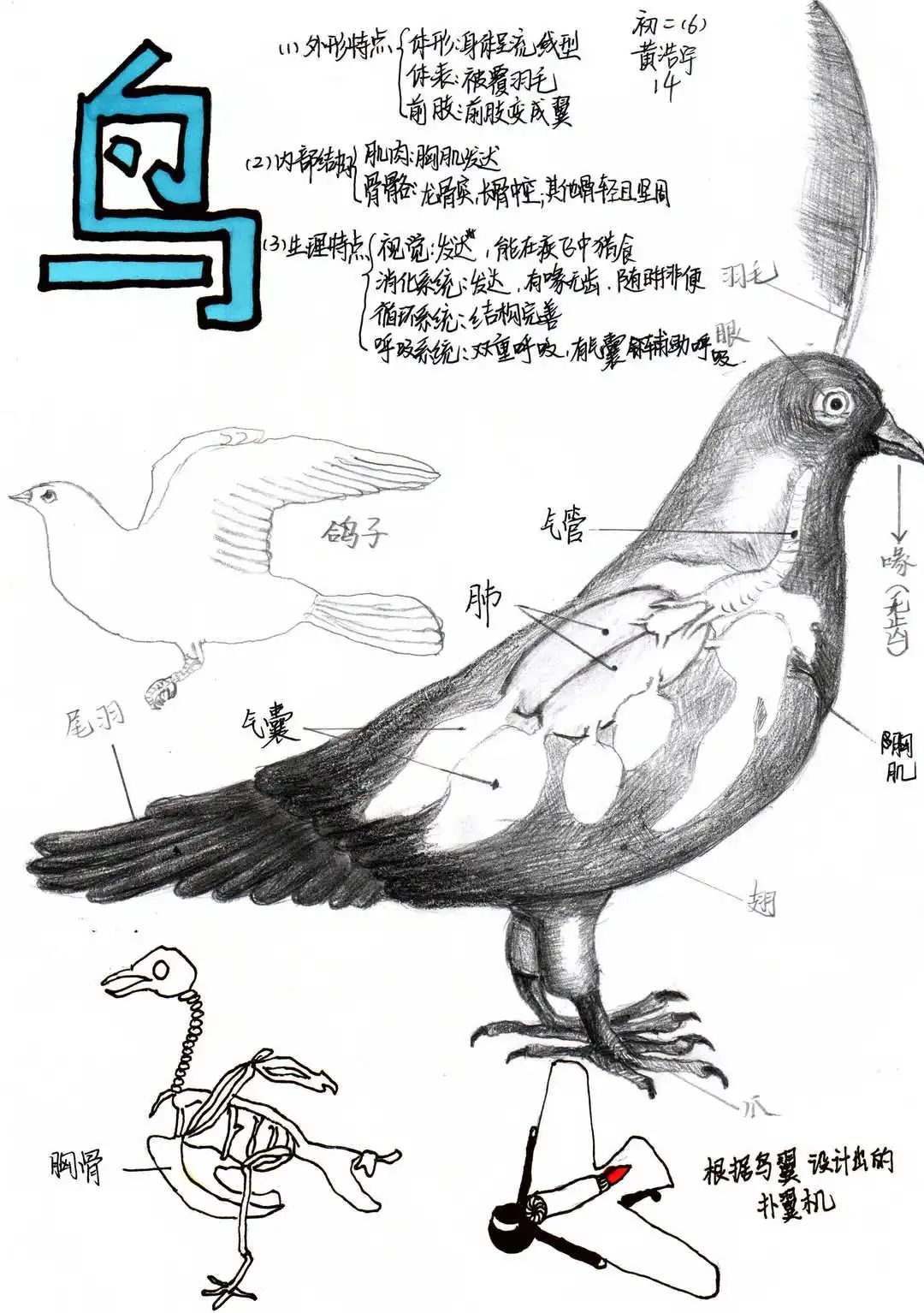 黃浩宇.jpg