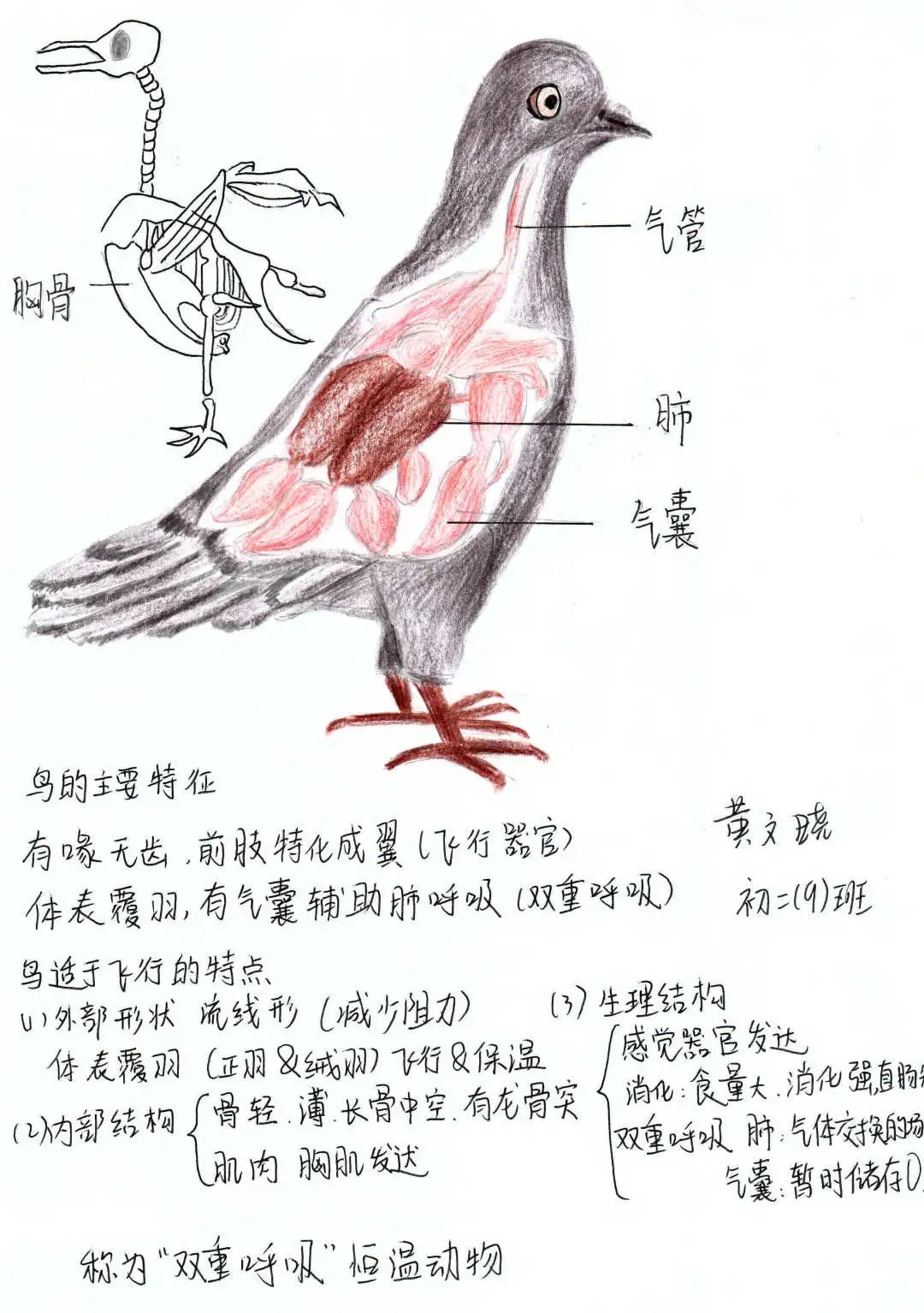 黃文曉.jpg