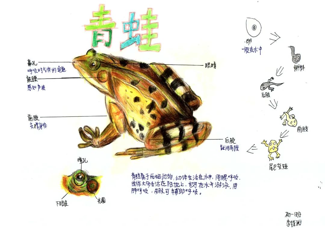 李銳珩.jpg