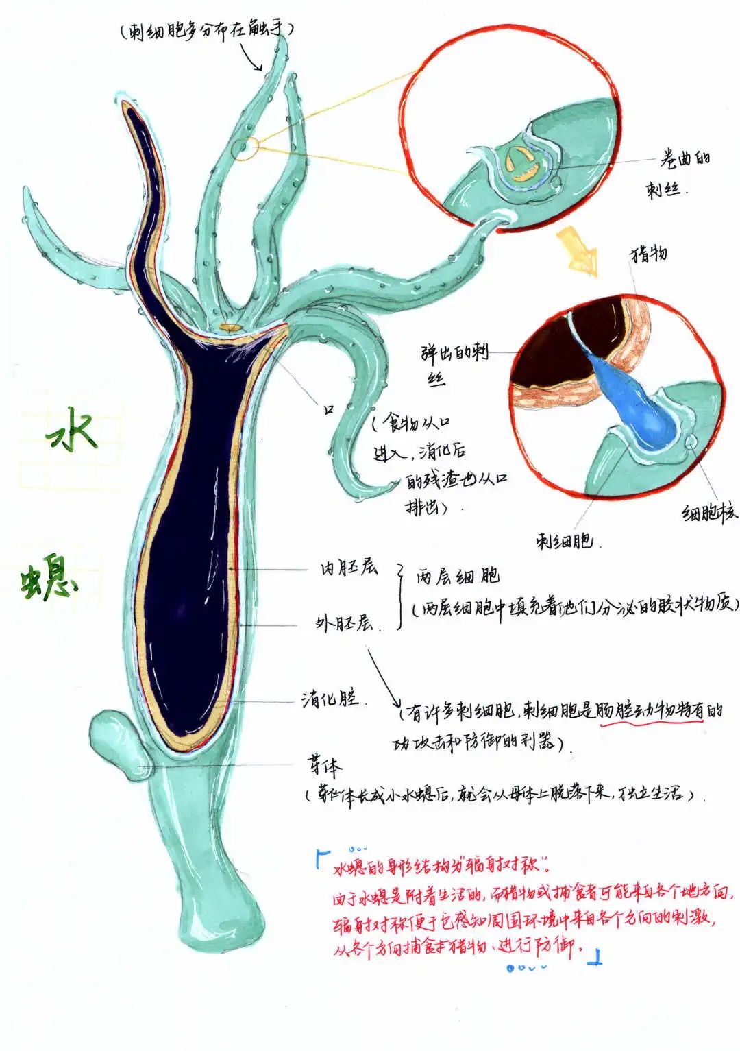 龐禧.jpg