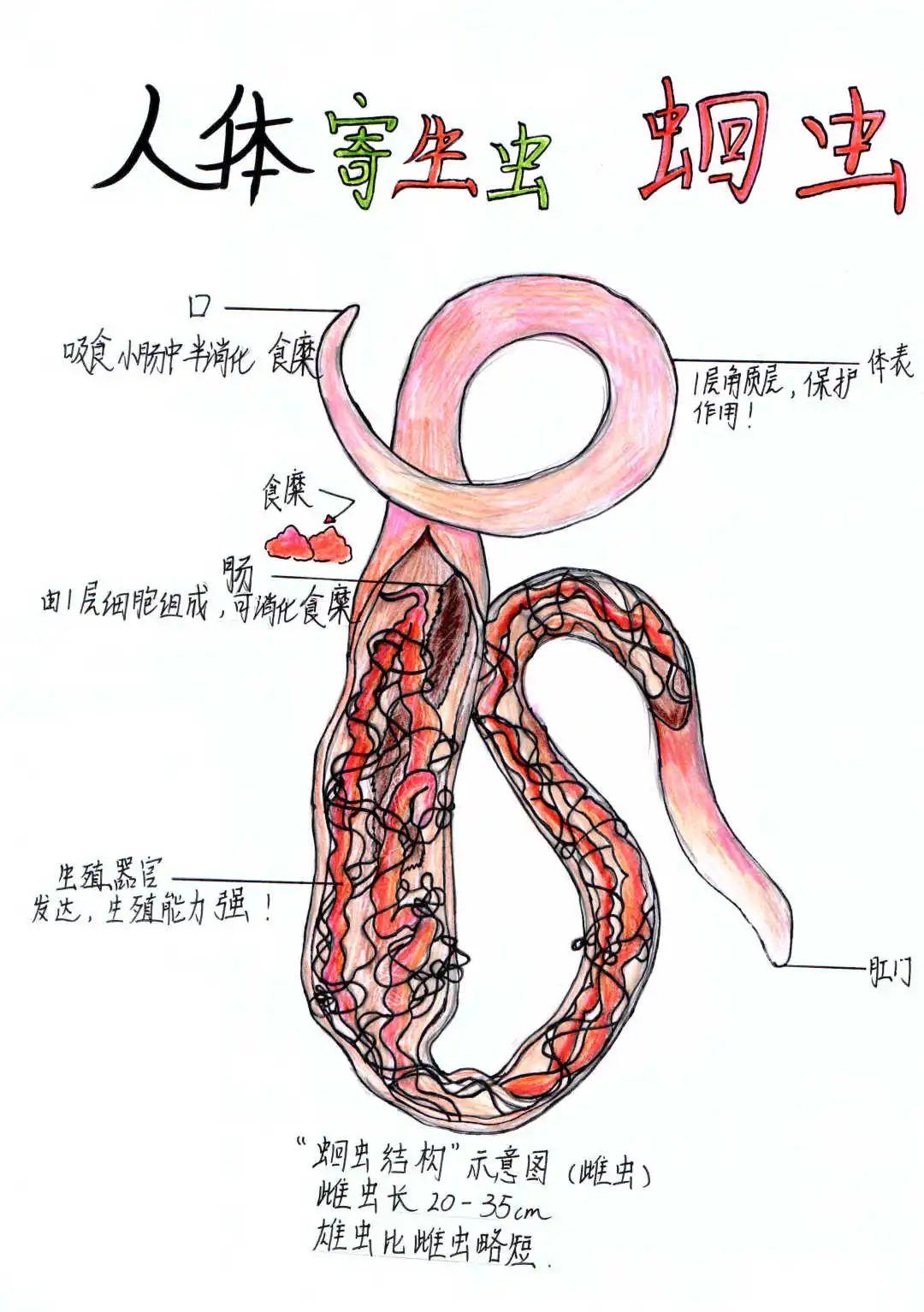 宋昕 (2).jpg