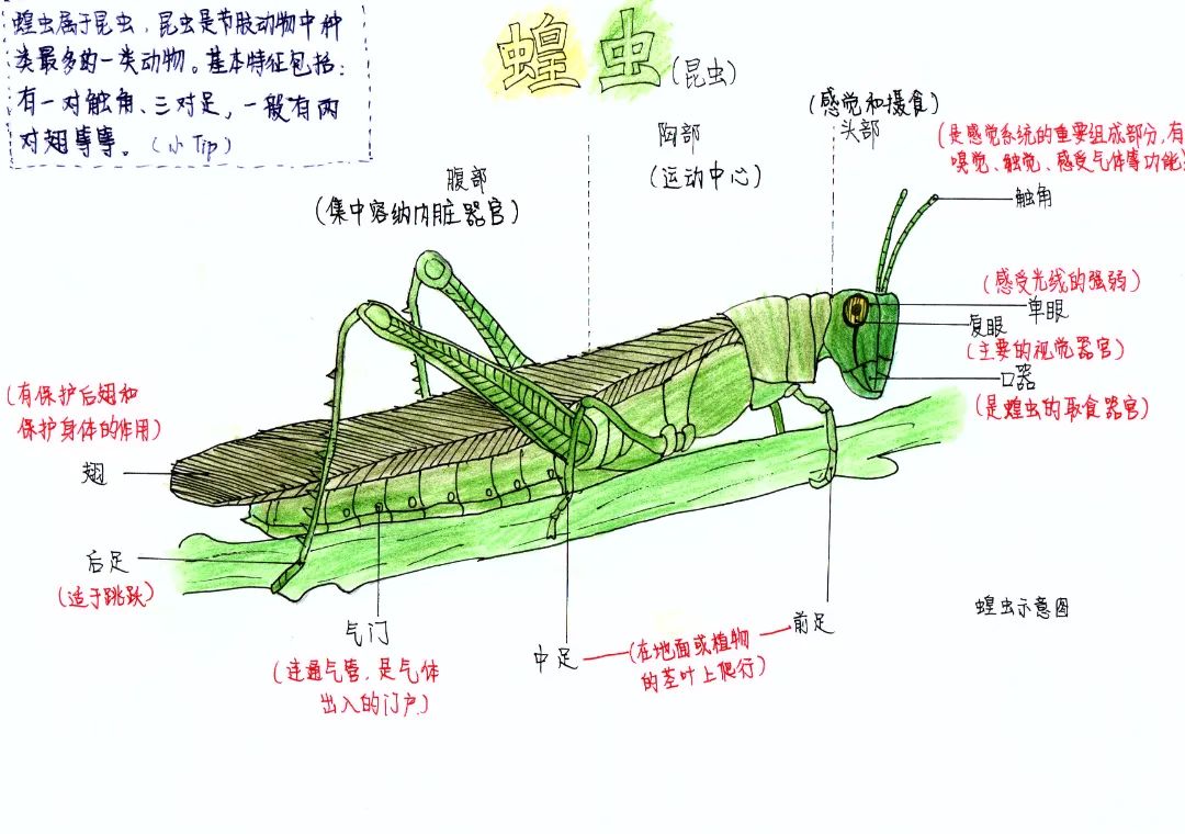 李瑾和.jpg