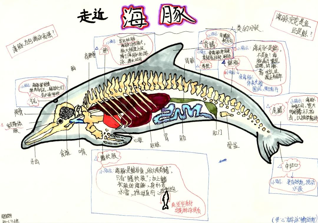 周寶妍.jpg