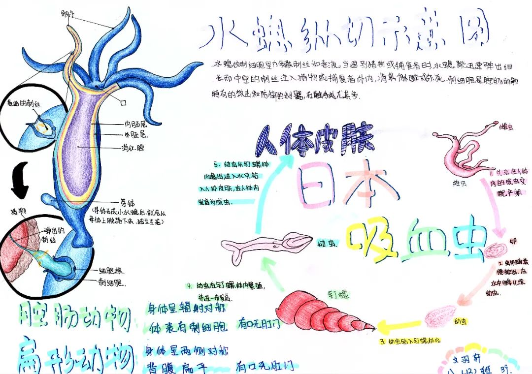 文羽軒.jpg