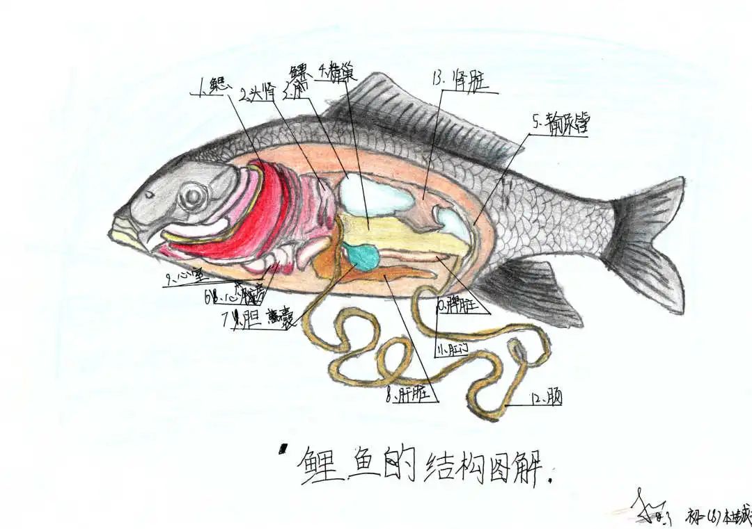 杜鋮晉.jpg