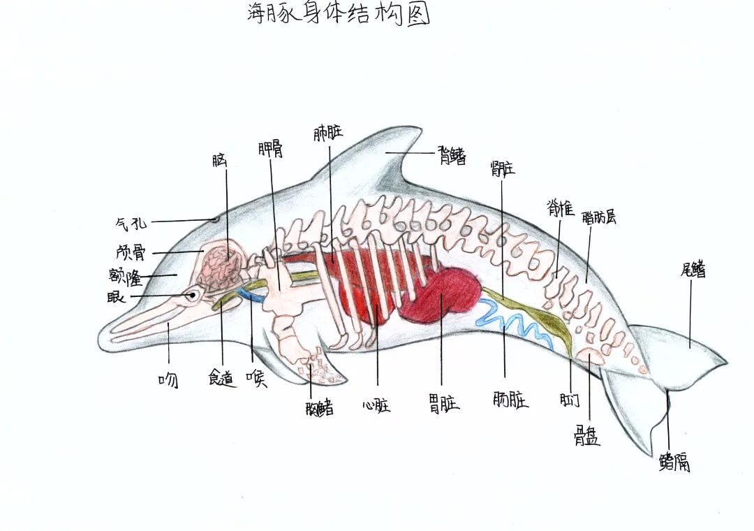 吳桐語(yǔ).jpg