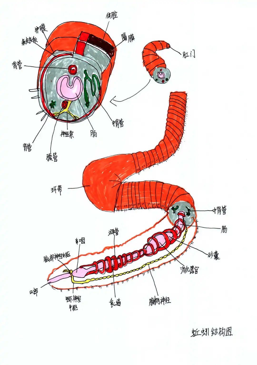 歐陽(yáng)學(xué)騫.jpg