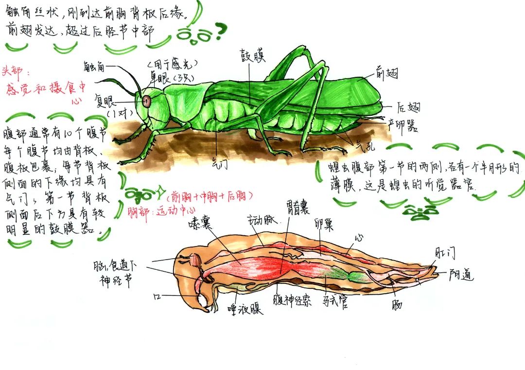 陳語(yǔ)澤.jpg