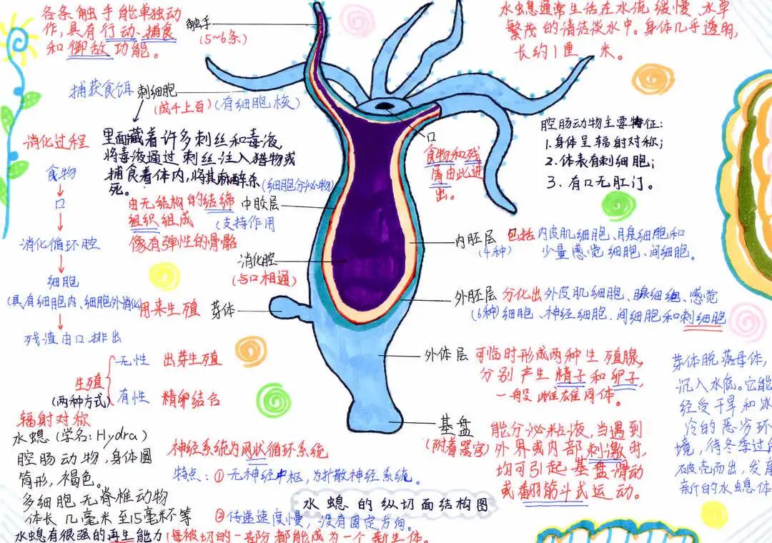 陳銘諾.jpg