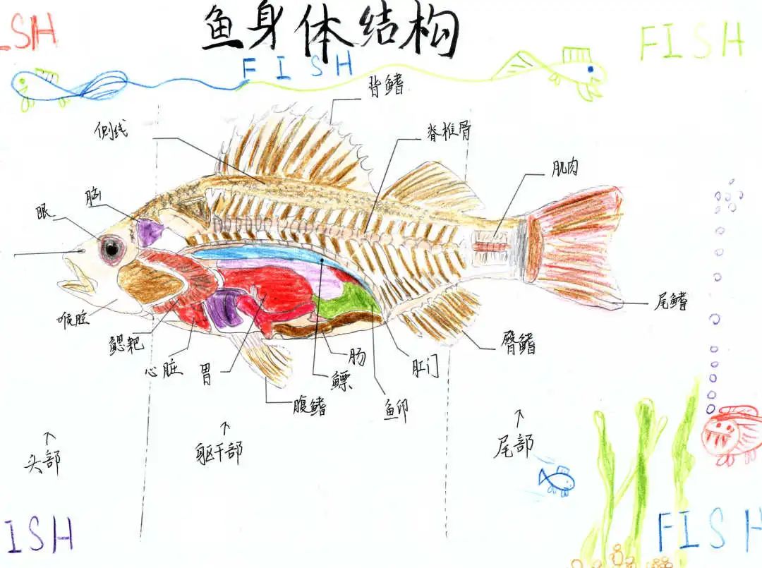 陳朗.jpg