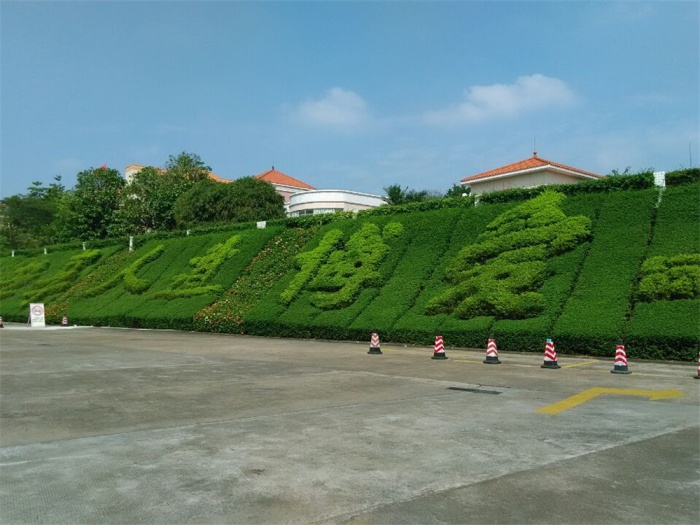 草坪.jpg