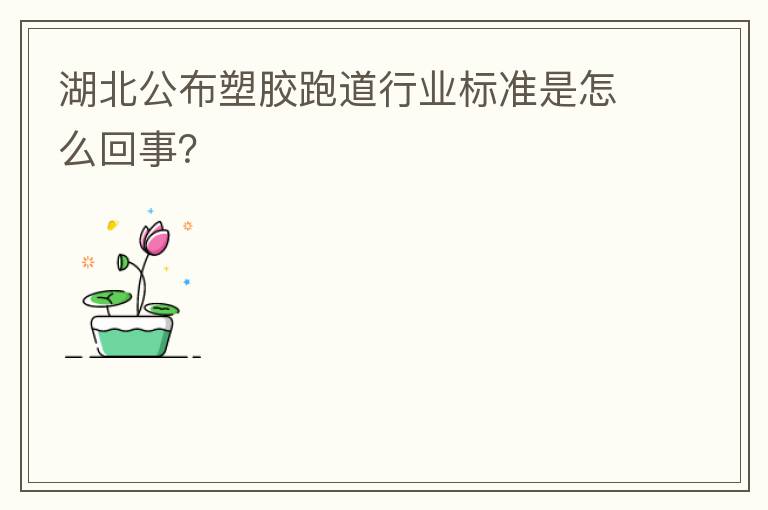 湖北公布塑膠跑道行業(yè)標(biāo)準(zhǔn)是怎么回事？