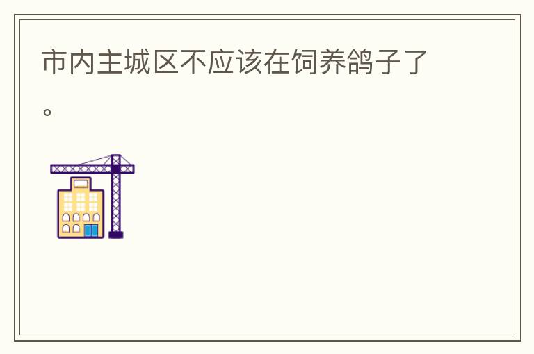 市內(nèi)主城區(qū)不應(yīng)該在飼養(yǎng)鴿子了。