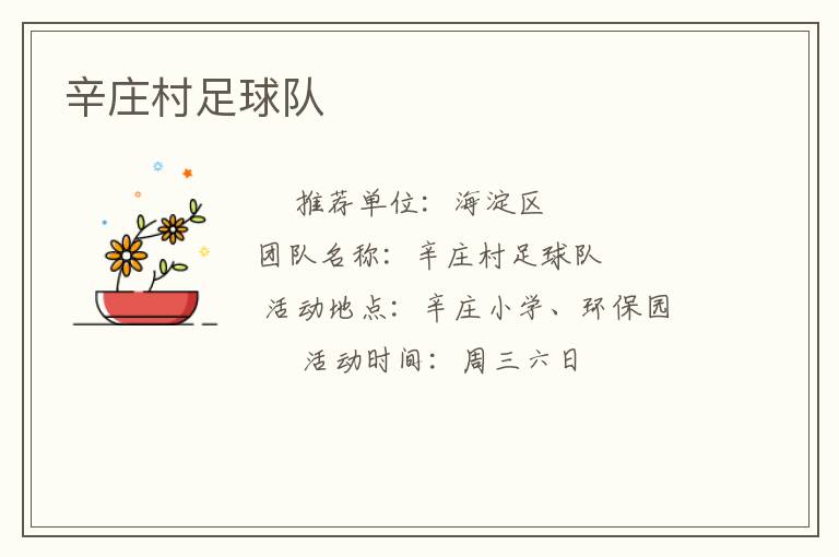 辛莊村足球隊 辛莊村足球隊