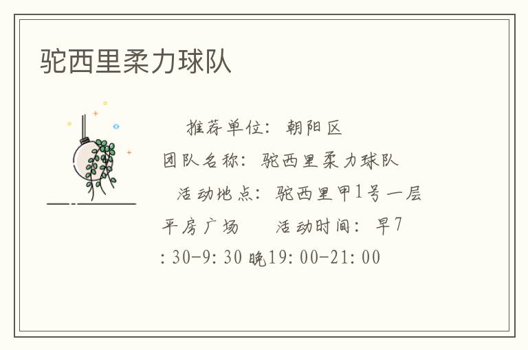 駝西里柔力球隊(duì) 駝西里柔力球隊(duì)