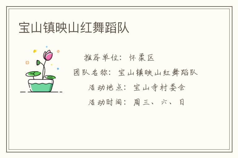 寶山鎮(zhèn)映山紅舞蹈隊 寶山鎮(zhèn)映山紅舞蹈隊