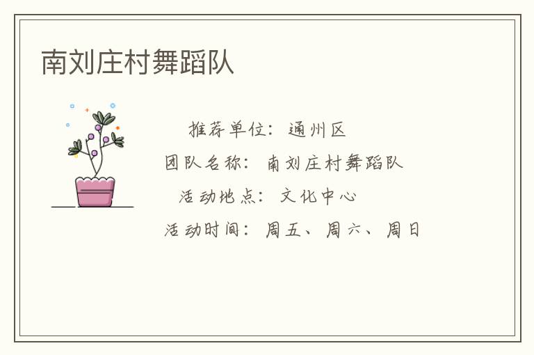 南劉莊村舞蹈隊(duì) 南劉莊村舞蹈隊(duì)