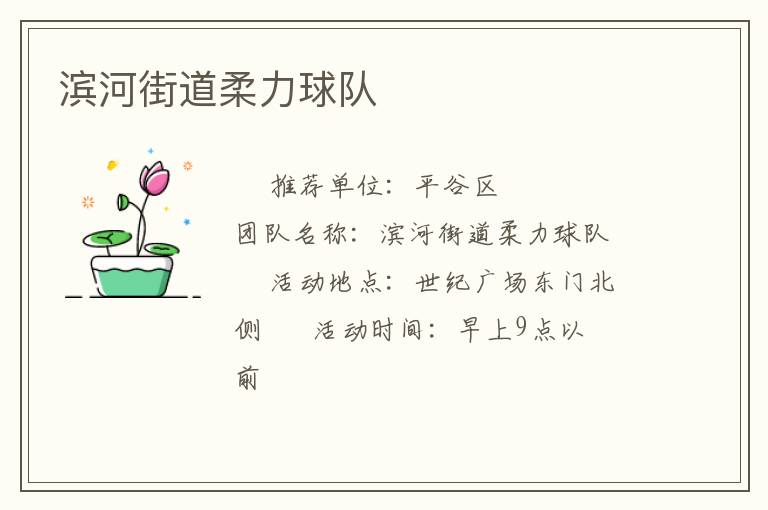 濱河街道柔力球隊 濱河街道柔力球隊