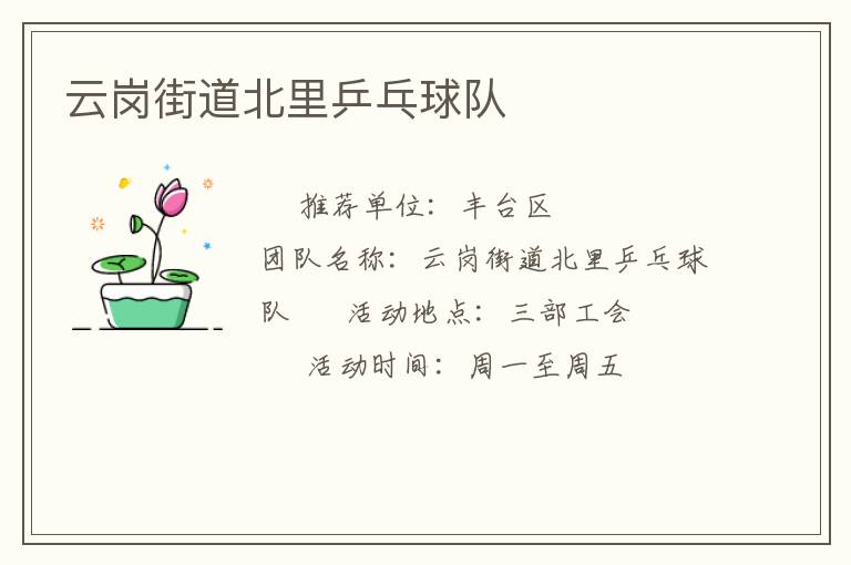 云崗街道北里乒乓球隊(duì) 云崗街道北里乒乓球隊(duì)
