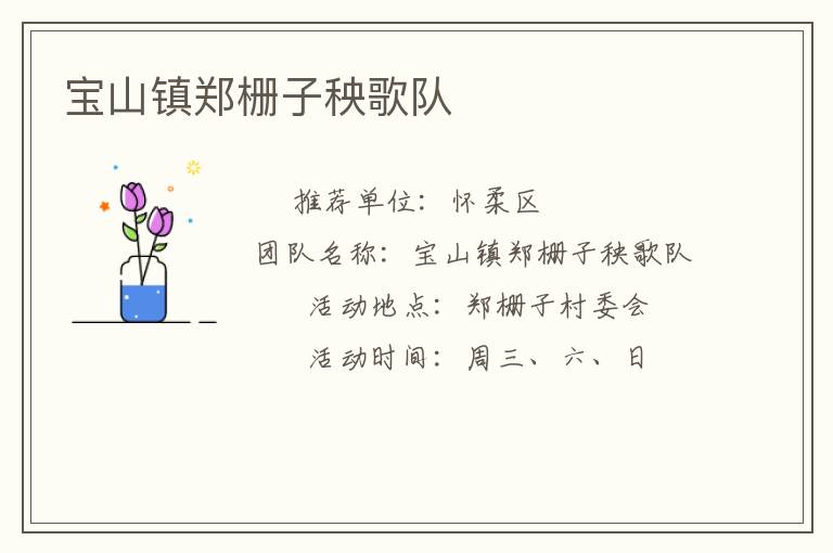 寶山鎮(zhèn)鄭柵子秧歌隊 寶山鎮(zhèn)鄭柵子秧歌隊