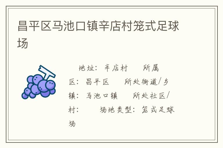 昌平區(qū)馬池口鎮(zhèn)辛店村籠式足球場 昌平區(qū)馬池口鎮(zhèn)辛店村籠式足球場