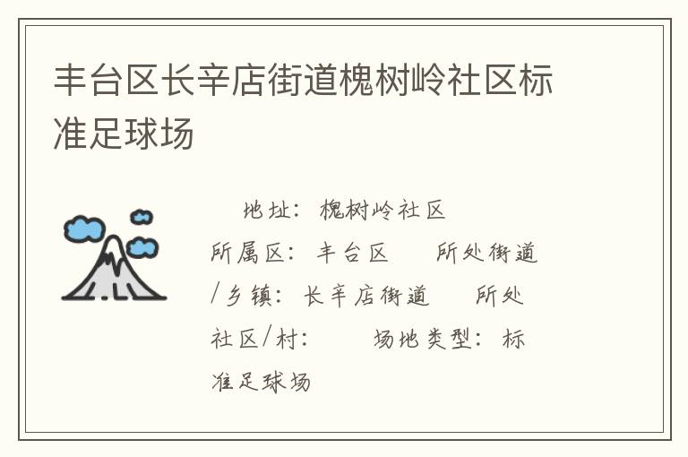 豐臺區(qū)長辛店街道槐樹嶺社區(qū)標準足球場 豐臺區(qū)長辛店街道槐樹嶺社區(qū)標準足球場