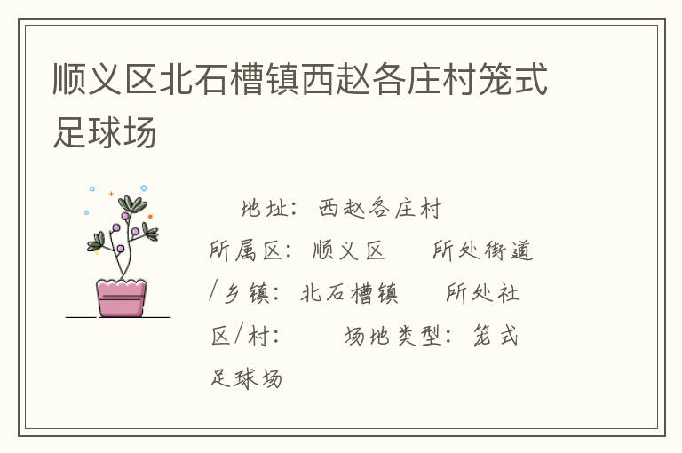 順義區(qū)北石槽鎮(zhèn)西趙各莊村籠式足球場 順義區(qū)北石槽鎮(zhèn)西趙各莊村籠式足球場