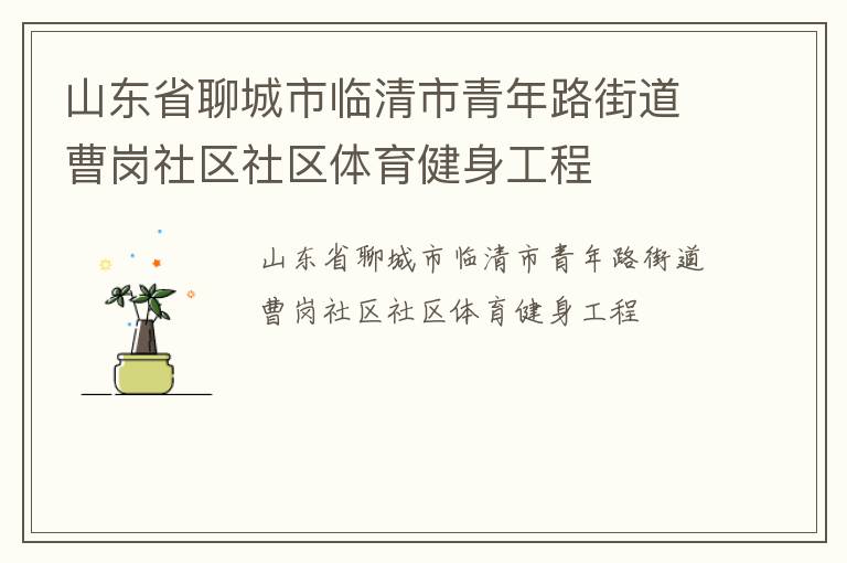 山東省聊城市臨清市青年路街道曹崗社區(qū)社區(qū)體育健身工程 山東省聊城市臨清市青年路街道曹崗社區(qū)社區(qū)體育健身工程