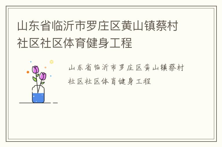 山東省臨沂市羅莊區(qū)黃山鎮(zhèn)蔡村社區(qū)社區(qū)體育健身工程 山東省臨沂市羅莊區(qū)黃山鎮(zhèn)蔡村社區(qū)社區(qū)體育健身工程