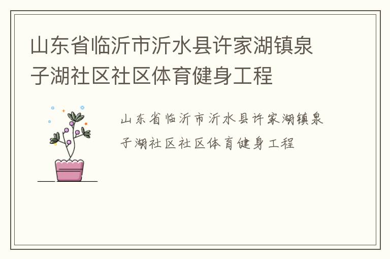 山東省臨沂市沂水縣許家湖鎮(zhèn)泉子湖社區(qū)社區(qū)體育健身工程