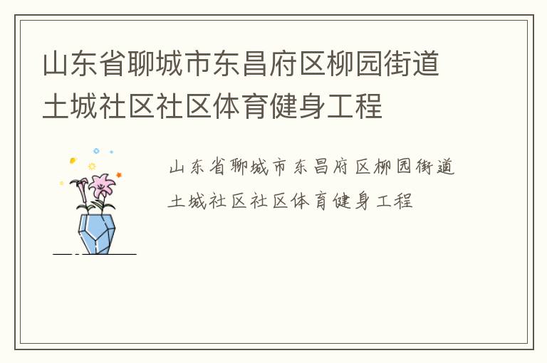山東省聊城市東昌府區(qū)柳園街道土城社區(qū)社區(qū)體育健身工程 山東省聊城市東昌府區(qū)柳園街道土城社區(qū)社區(qū)體育健身工程