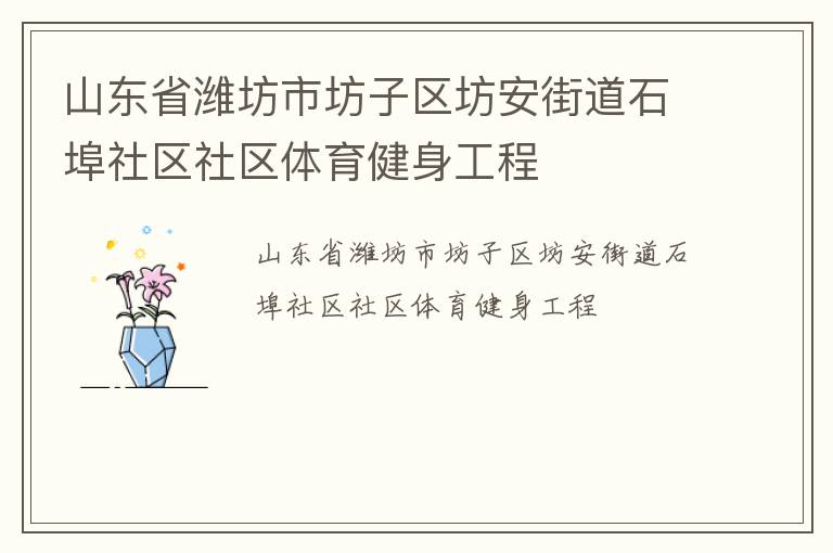 山東省濰坊市坊子區(qū)坊安街道石埠社區(qū)社區(qū)體育健身工程 山東省濰坊市坊子區(qū)坊安街道石埠社區(qū)社區(qū)體育健身工程