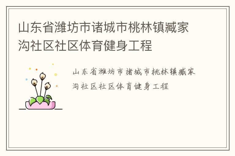 山東省濰坊市諸城市桃林鎮(zhèn)臧家溝社區(qū)社區(qū)體育健身工程 山東省濰坊市諸城市桃林鎮(zhèn)臧家溝社區(qū)社區(qū)體育健身工程