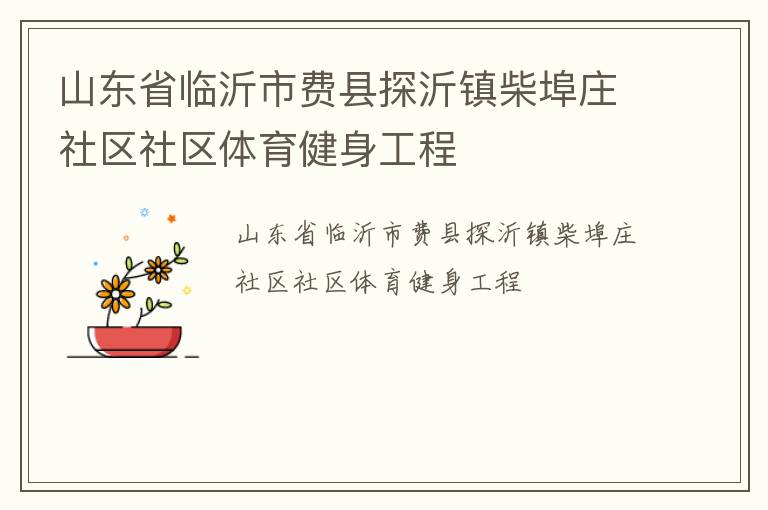 山東省臨沂市費縣探沂鎮(zhèn)柴埠莊社區(qū)社區(qū)體育健身工程 山東省臨沂市費縣探沂鎮(zhèn)柴埠莊社區(qū)社區(qū)體育健身工程