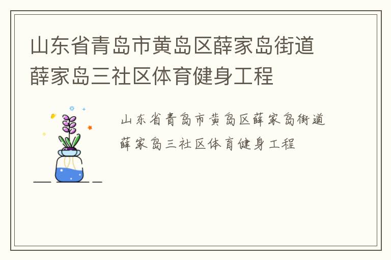 山東省青島市黃島區(qū)薛家島街道薛家島三社區(qū)體育健身工程 山東省青島市黃島區(qū)薛家島街道薛家島三社區(qū)體育健身工程