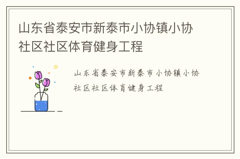 山東省泰安市新泰市小協(xié)鎮(zhèn)小協(xié)社區(qū)社區(qū)體育健身工程 山東省泰安市新泰市小協(xié)鎮(zhèn)小協(xié)社區(qū)社區(qū)體育健身工程